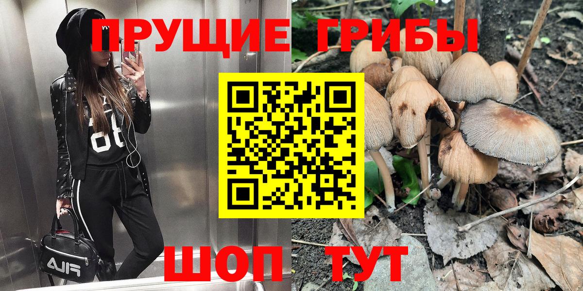 Новочеркасск  Псилоцибиновые грибы ЛСД  Вход с VPN 